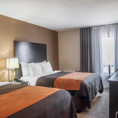 Comfort Inn Brampton Kültér fotó