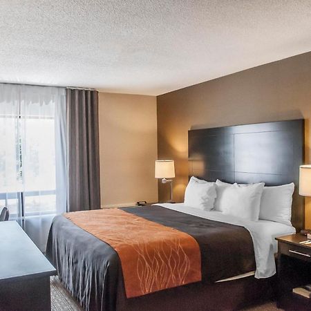 Comfort Inn Brampton Kültér fotó