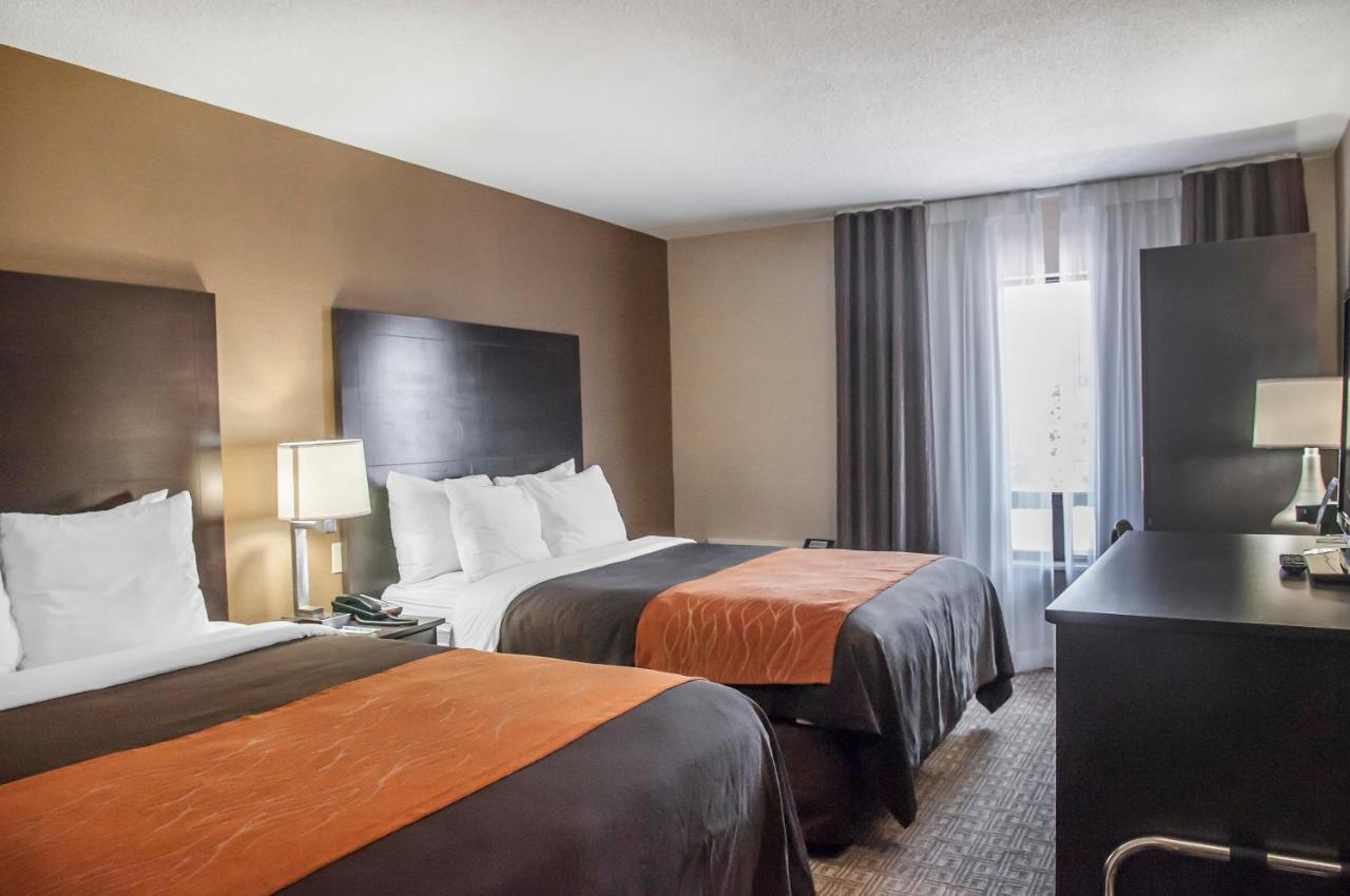 Comfort Inn Brampton Kültér fotó