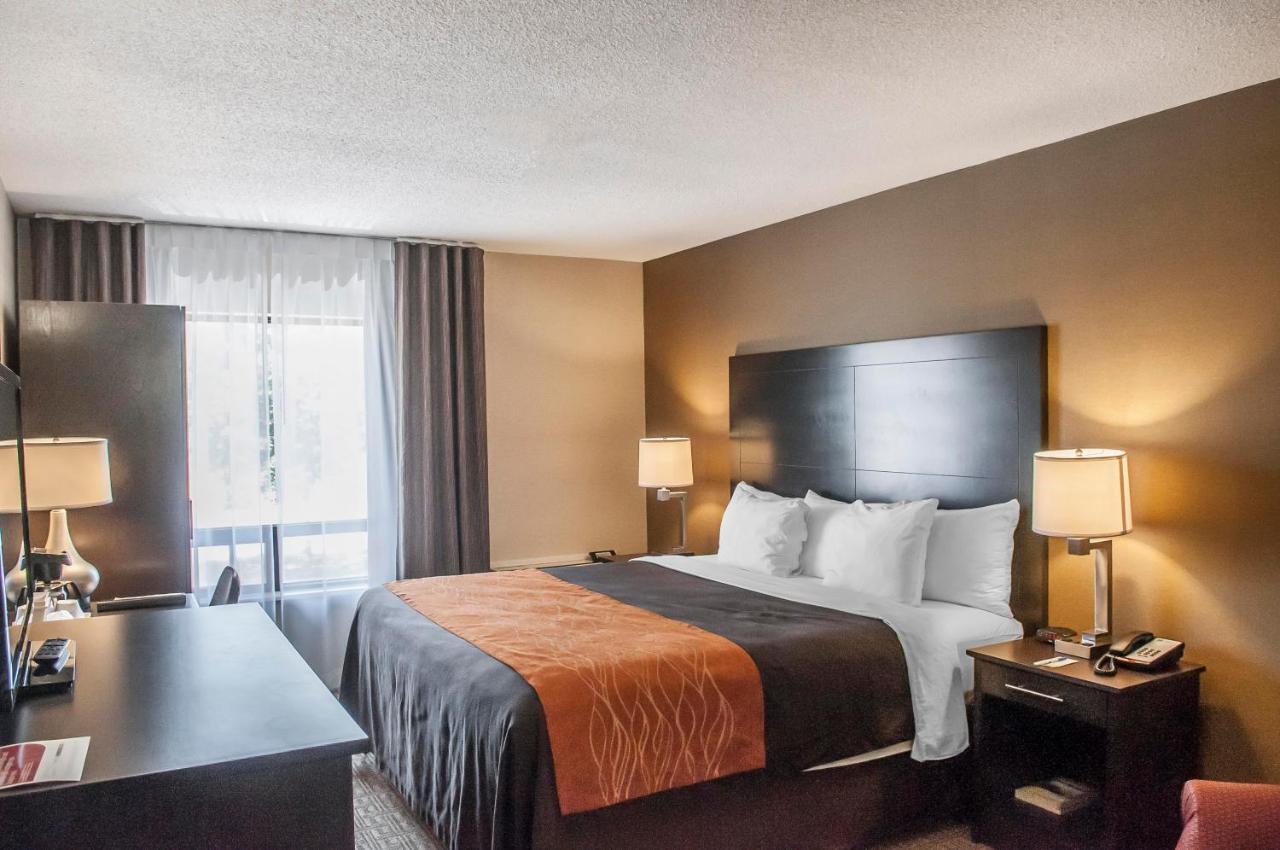 Comfort Inn Brampton Kültér fotó