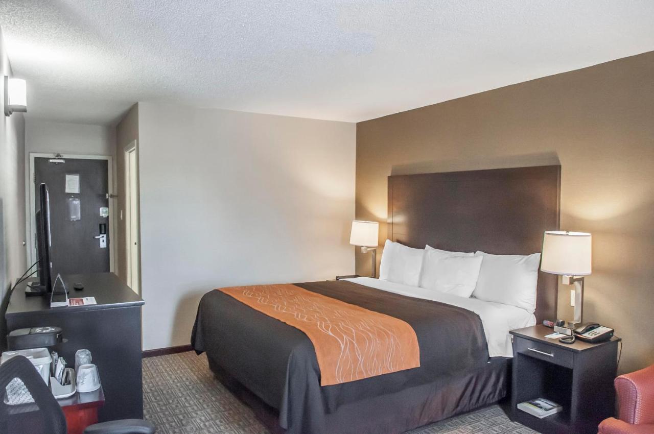 Comfort Inn Brampton Kültér fotó